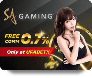 Technical VF555 Review Chuyên Môn for Advanced Users